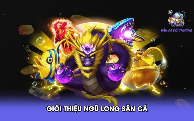 gioi-thieu-ngu-long-san-ca